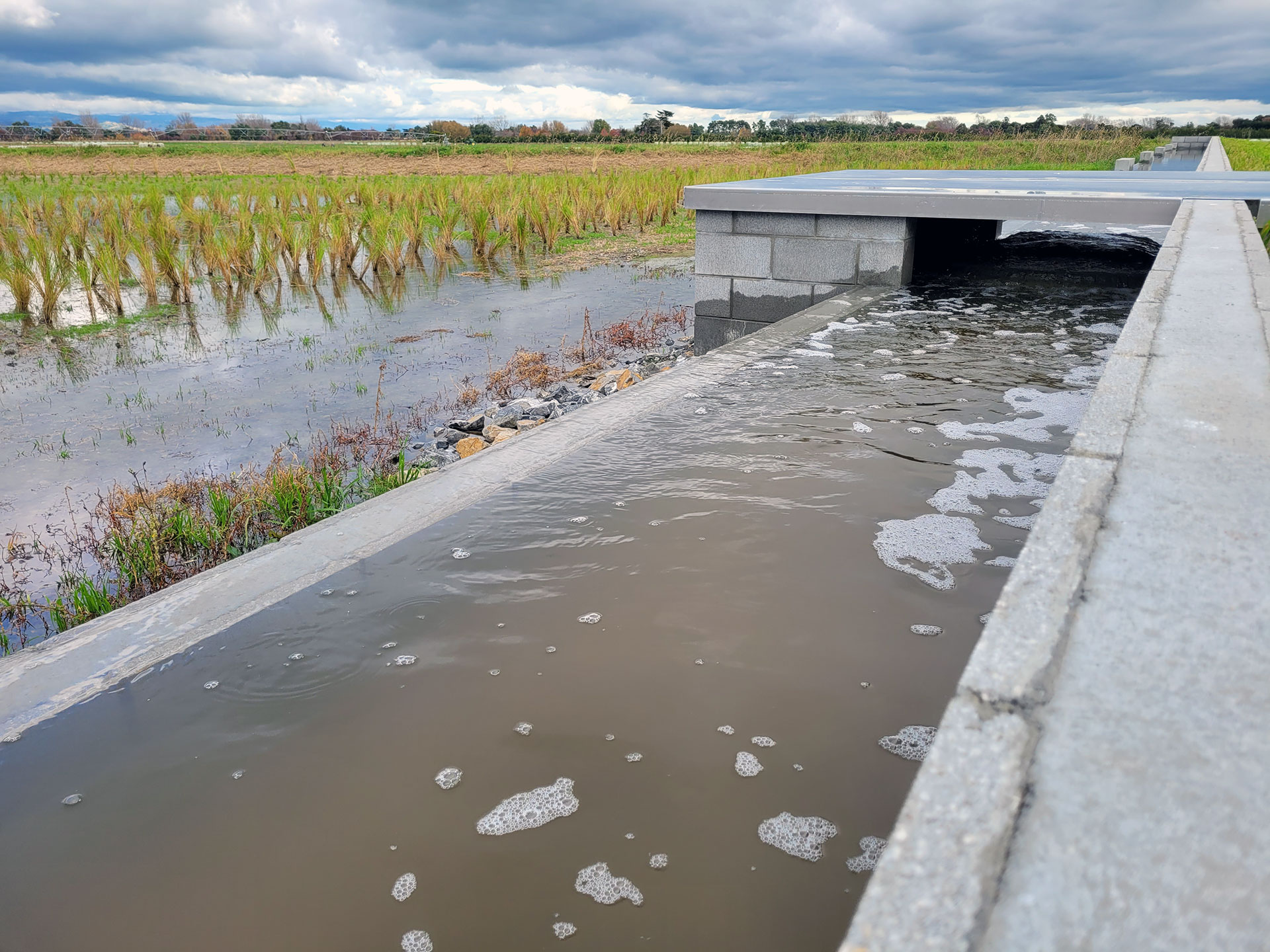 Manawatū Wetlands Area