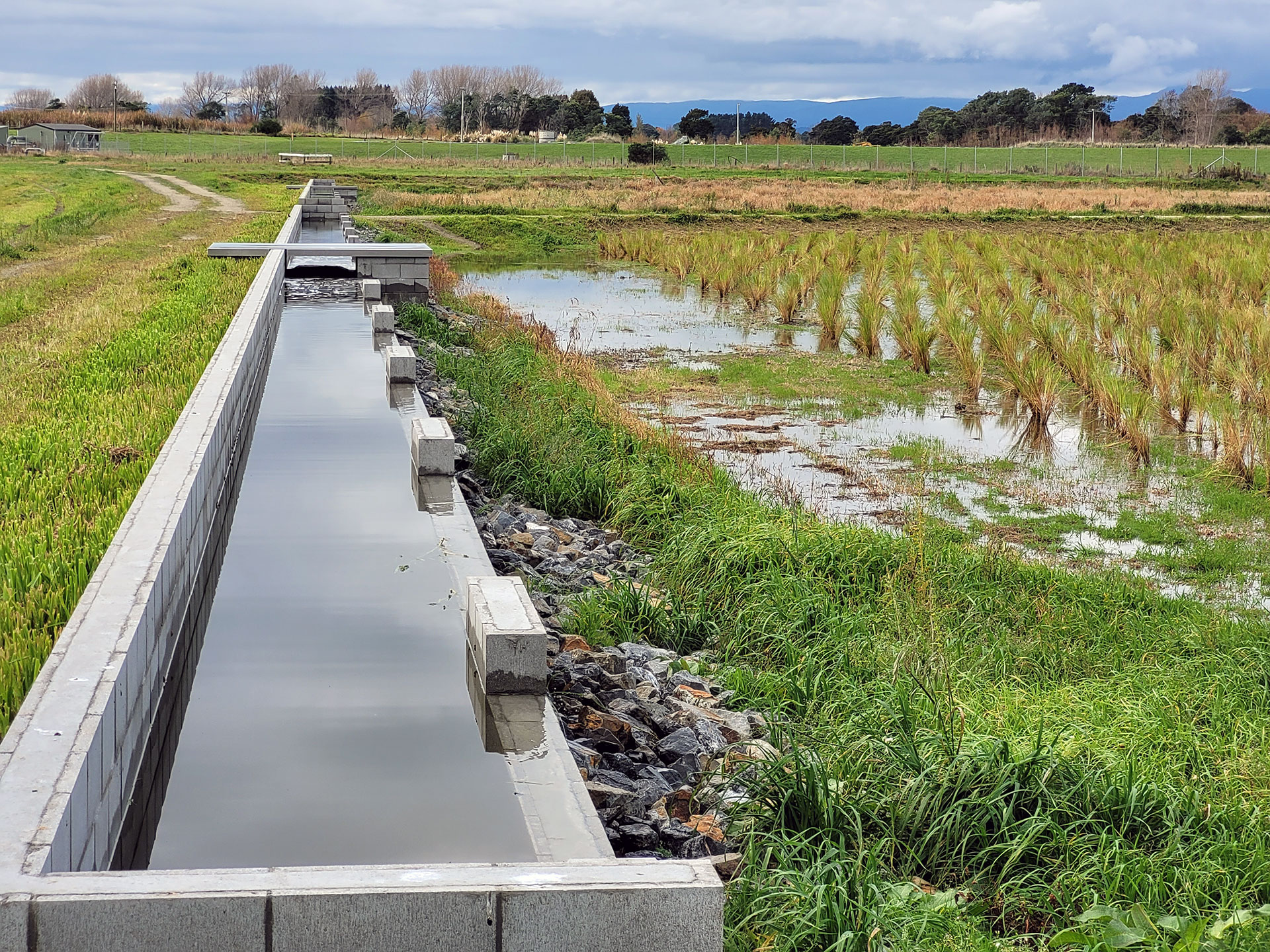 Manawatū Wetlands Area